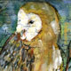 barnOwl